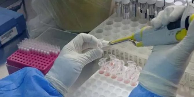 Karadeniz için mutasyon virüs uyarısı
