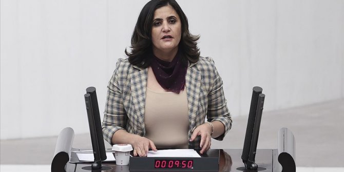HDP Milletvekili Dirayet Dilan Taşdemir hakkında 'silahlı terör örgütü üyesi olmak' suçundan soruşturma başlatıldı