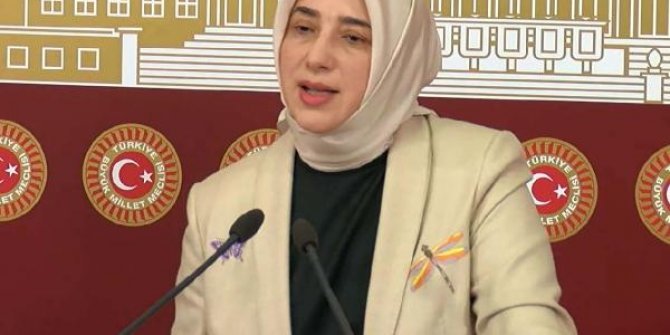 AK Parti'li Zengin: Hedef gösteriliyorum
