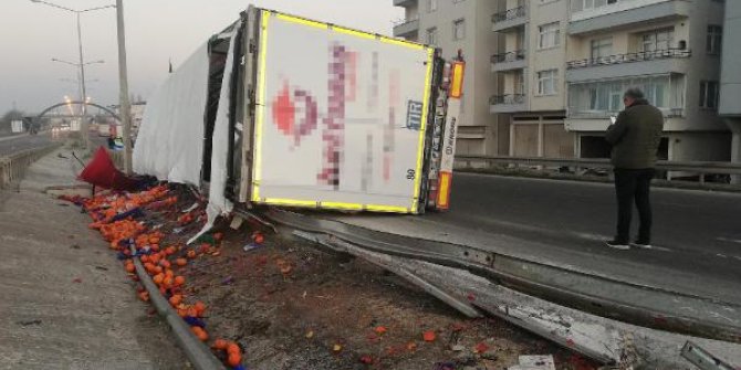 Ordu'da TIR devrildi, sebze- meyveler yola saçıldı