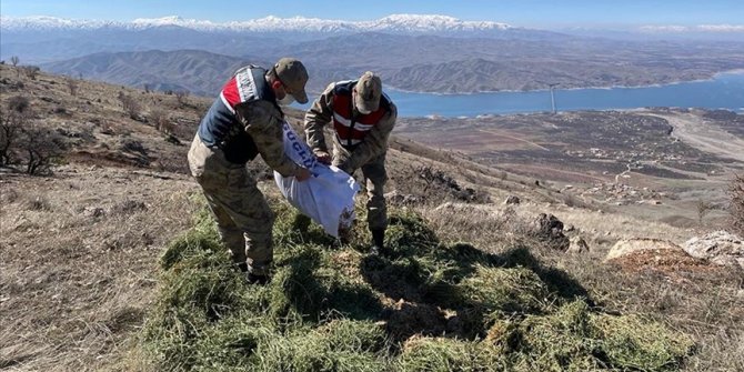 Elazığ'da jandarma yaban hayatı için doğaya yem bıraktı
