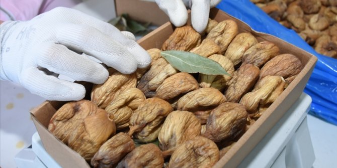 Türkiye'nin kuru incir ihracatı 158 milyon dolara ulaştı