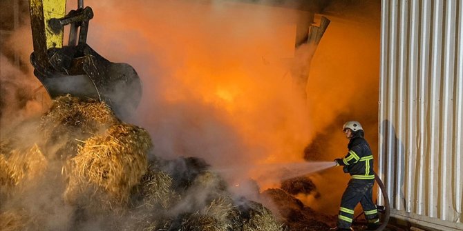 Kırklareli'nde hayvan çiftliğinde çıkan yangına müdahale ediliyor