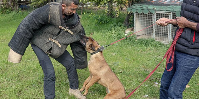 'Havlayan köpek ısırmaz demeyin, ısırır'