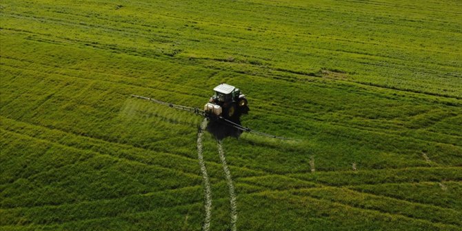 Tarım Kredi 2019'dan bu yana üreticilere 3,3 milyar liralık 'sabit oranlı kredi kullandırdı