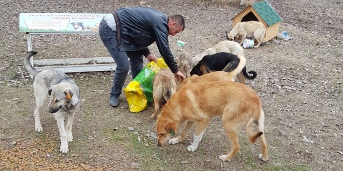 Can dostlarına mama dağıtımı sürüyor