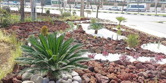 Manisa'da su tasarrufu için uygulanan "kaya bahçeleri" yaygınlaşıyor