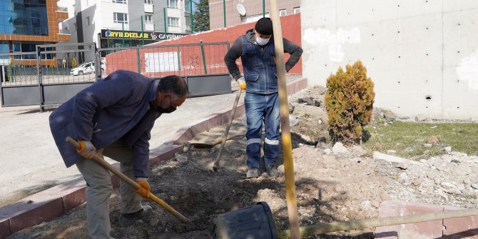 Keçiören'de okullar yeşilleniyor