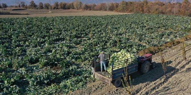 Tarlada ve halde kalan ürün dijital ortamda pazarlanacak