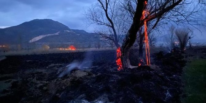 Burdur’da 50 dönüm sazlık yandı