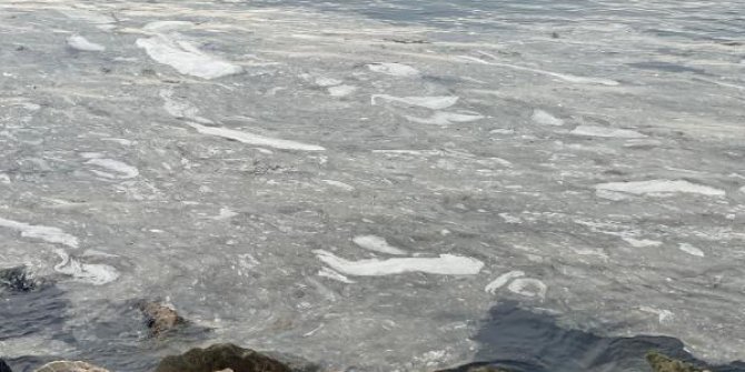 Pendik ve Kartal sahilinde tedirgin eden görüntü; Daha önce rastlamamıştık
