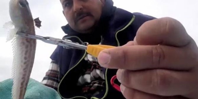Zehirli balığın anlık teması hastanelik etti