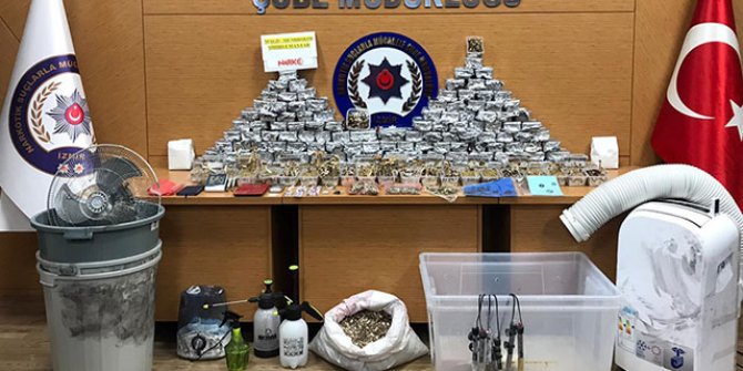 İzmir'de uyuşturucu tacirlerine 'sihirli mantar' operasyonu