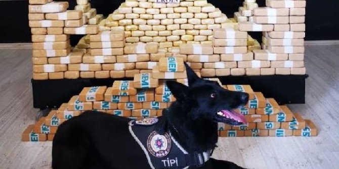 Yüksekova'da narkotik köpeği 'Tipi' ile kamyonette yapılan aramada 204 kilo 'eroin' ele geçirildi