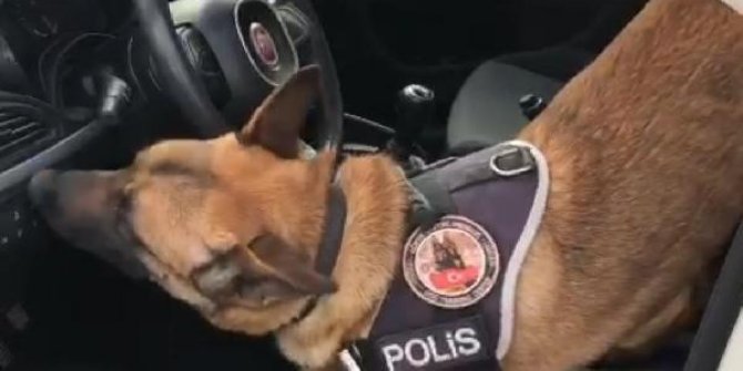 Narkotik köpek 'Artur'un tepki verdiği otomobilden uyuşturucu çıktı