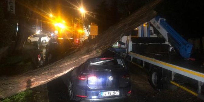 Etiler'de ağaç otomobilin üzerine devrildi