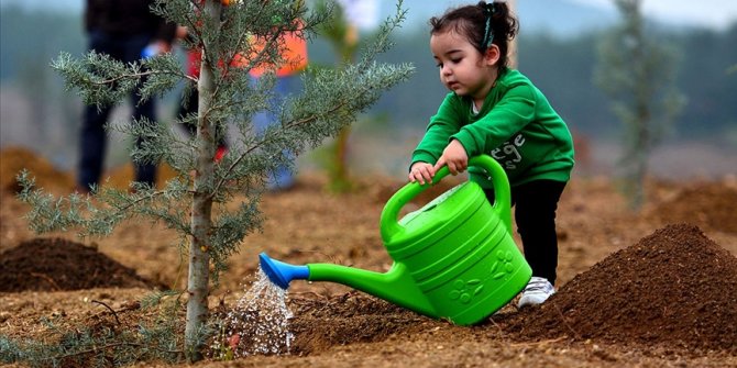 2023'e kadar Türkiye genelinde 1,6 milyar fidan toprakla buluşacak