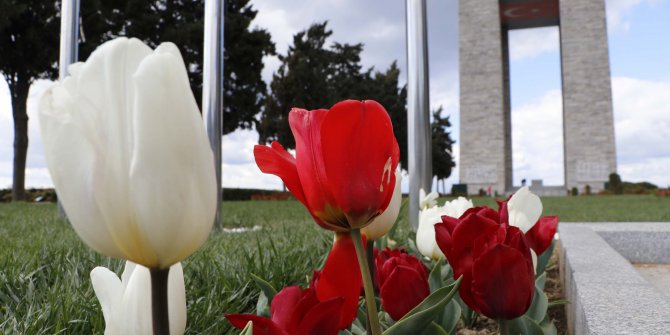 Çanakkale şehitlikleri, kırmızı beyaz lalelerle donatıldı