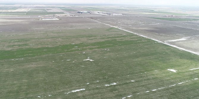 Son yağışlar Konya Ovası'nda çiftçinin yüzünü güldürdü 