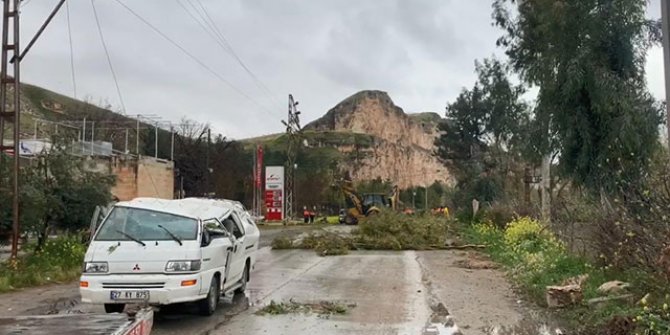 Şanlıurfa'da fırtına; ağaçlar devrildi, 4 araç hasar gördü