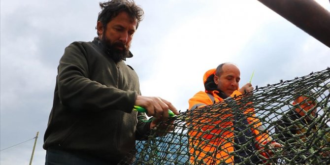Tekirdağlı balıkçılar deniz salyası nedeniyle av sezonunu erken kapattı