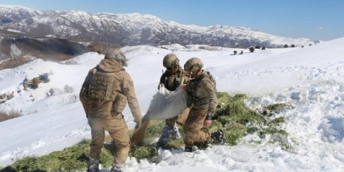 Tunceli'de askeri helikopter, bu kez yaban hayvanları için havalandı