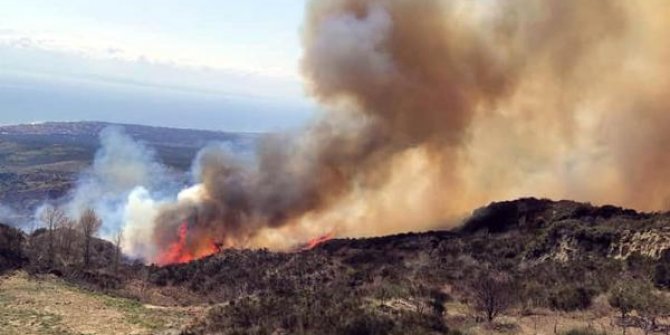 Tekirdağ'da makilik alanda yangın