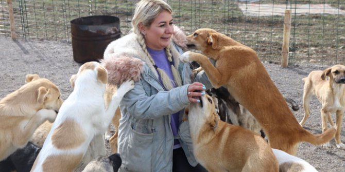 Felç geçiren babasından etkilendi, engelli köpekler için barınak kurdu