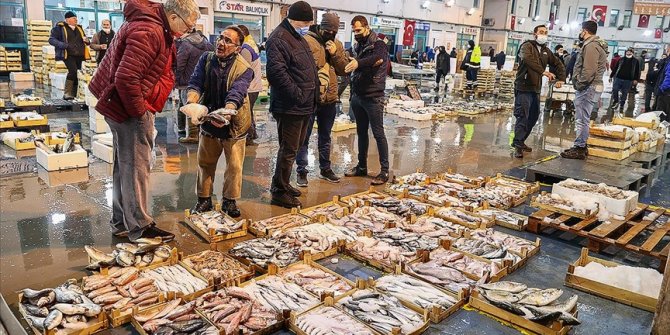 Sezonu bereketli geçiren Egeli balıkçılar koronavirüs döneminde cirolarını katladı