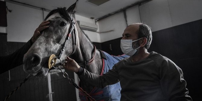 Milyon dolarlık safkan atlar bu hastanede özenle tedavi ediliyor