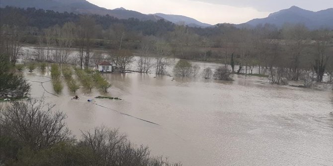 Bilecik'te Göksu Nehri'nin taşması sonucu tarım arazileri su altında kaldı