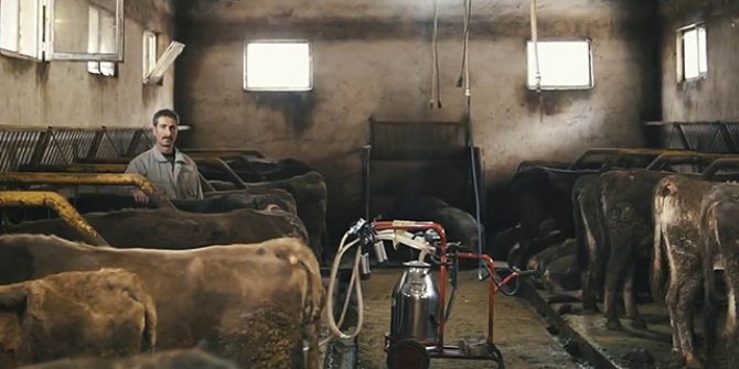 Erzurum'da süte değer kazandıran proje