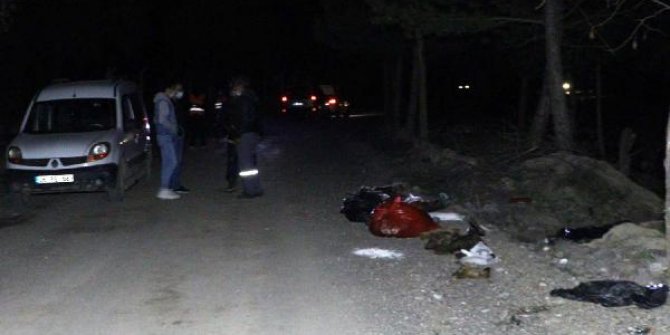 Ankara'da damar yolu açılmış 30 köpek ölüsü bulundu