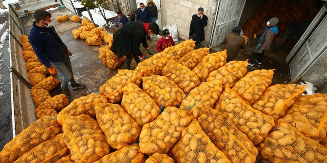 Cumhurbaşkanı Erdoğan'ın müjdesinin ardından depodaki patatesini TMO'ya satan Nevşehirli çiftçiler mutlu