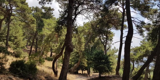 İzmir Yamanlar Dağı Tabiat Parkı’ndaki tesisler kiraya verilecek