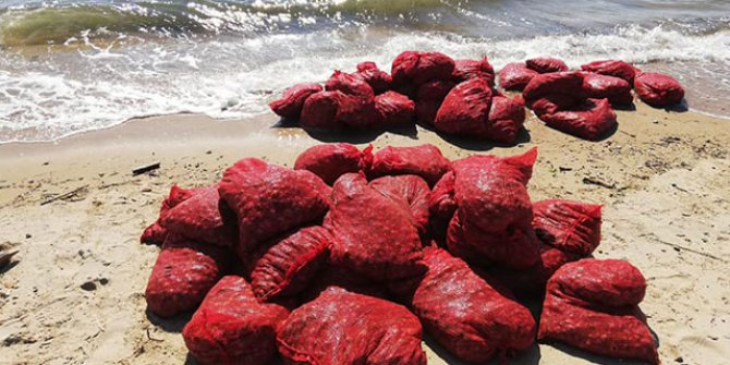 Edirne’de, 876 kilo kaçak midyeye 449 bin lira ceza