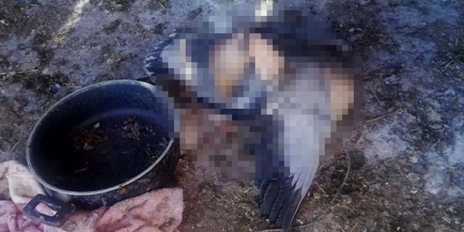 Kazını kümeste asılı buldu, komşusunu suçladı 