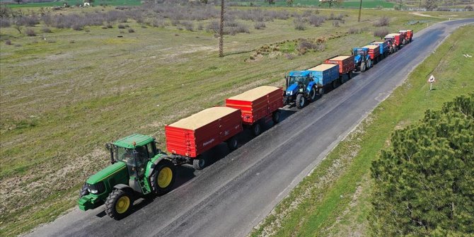 Edirne'de üreticiler ellerindeki çeltikleri TMO'ya getirmeye başladı
