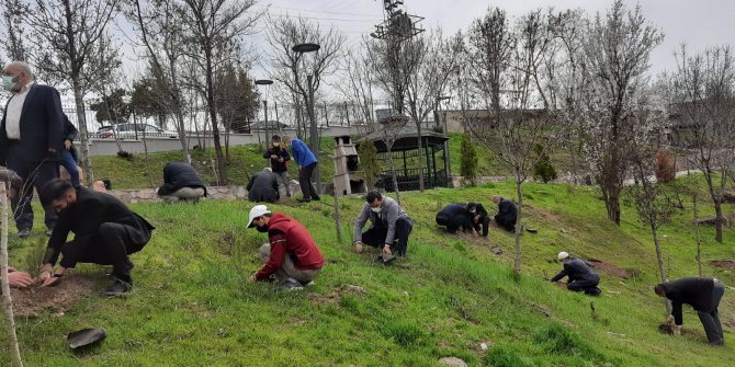 “Senin de Bir Fidanın Olsun” Etkinliği Yapıldı