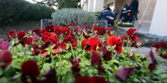 Yenimahalle parkları yaza hazırlanıyor