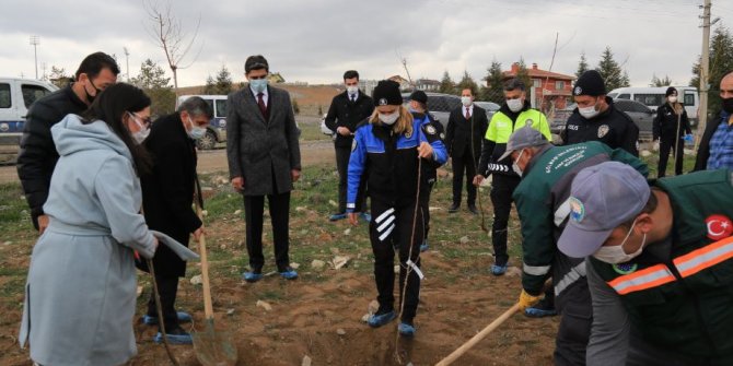 Türk Polis Teşkilatı’nın 176. yılına özel 150 adet ağaç dikildi