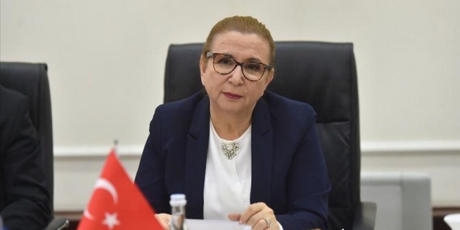 Bakan Pekcan: Kızılcahamam'daki yangında zarar gören esnafa 50 bin lira hibe verilecek