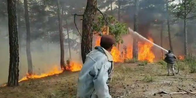 Denizli'de orman yangını, 3 saatte söndürüldü; 4 hektar alan yandı