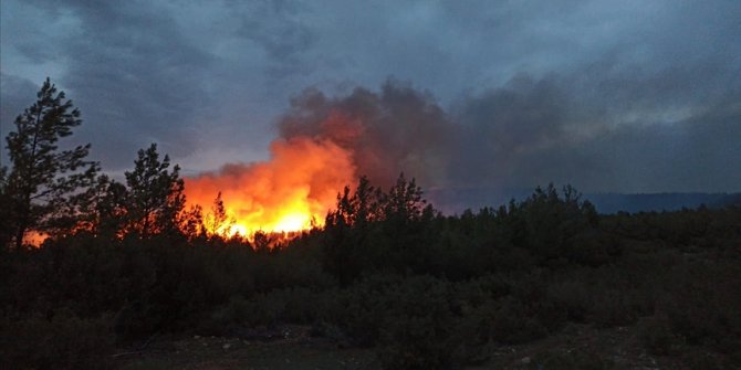 Muğla'nın Menteşe ve Kavaklıdere ilçelerinde çıkan orman yangınları söndürüldü