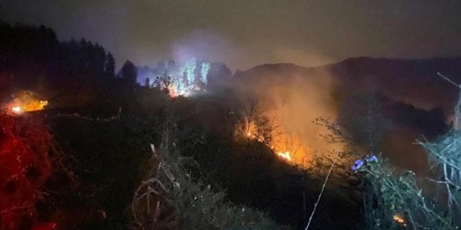 Rize'de orman yangını çıktı