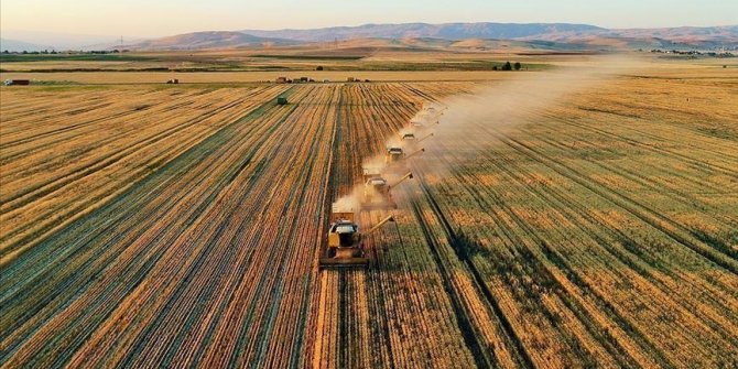 Tarım ve Orman Bakanlığı sağladığı desteklerle organik üretim ve tüketimi artırıyor