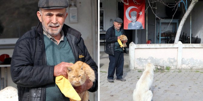Pandemide kapanan kahvehanesini sokak hayvanlarına açtı