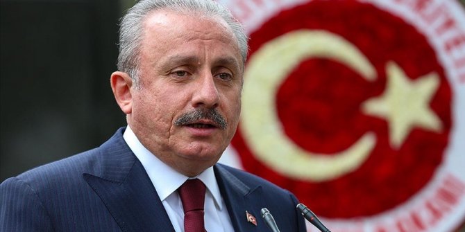 TBMM Başkanı Şentop'tan 'sözde soykırım' açıklaması