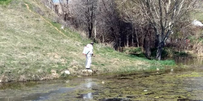 Yenimahalle’den Sulak Alanlarda Larva Mücadelesi