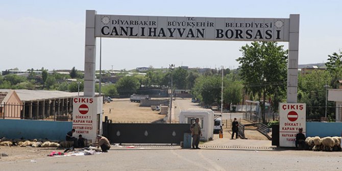 Diyarbakır'da Canlı Hayvan Borsası'nda kavga: 1 ölü, 2'si ağır 4 yaralı
